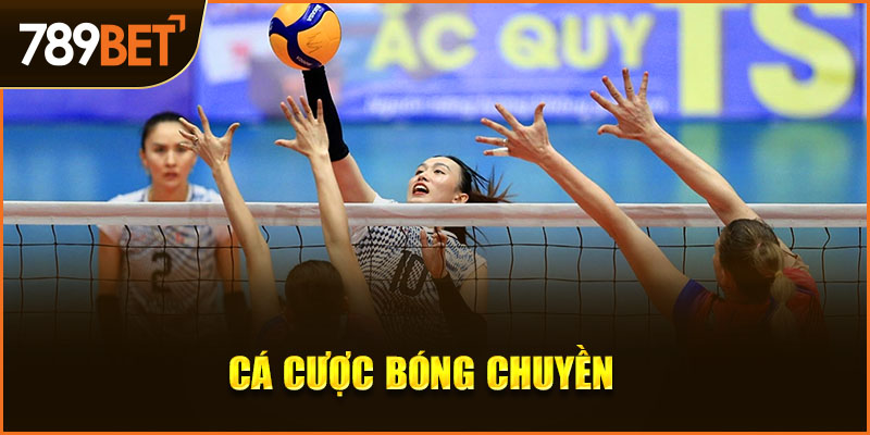 cá cược bóng chuyền